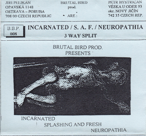 Incarnated (PL) : 3 Way Split